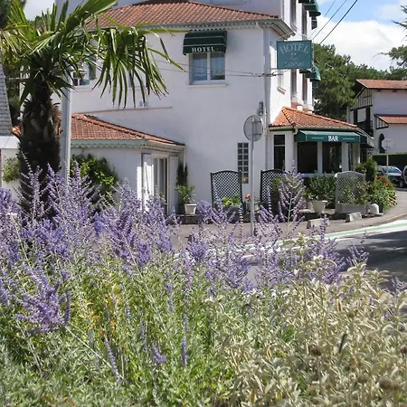 Les Tennis Men Les Pins Centre ホテル La Baule